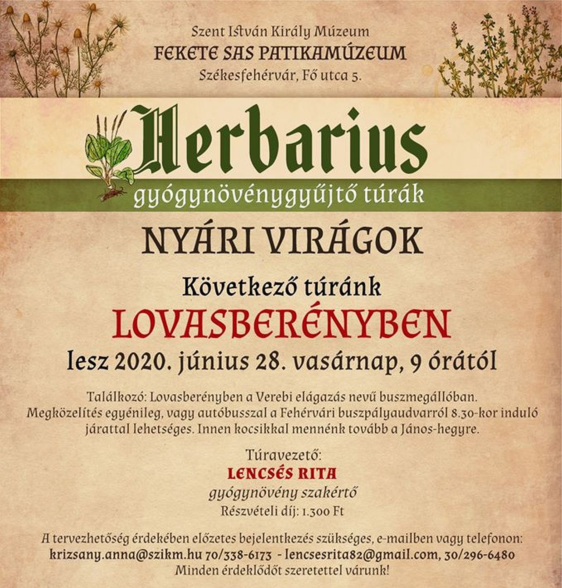 Lovasberénybe indul vasárnap a gyógynövénytúra